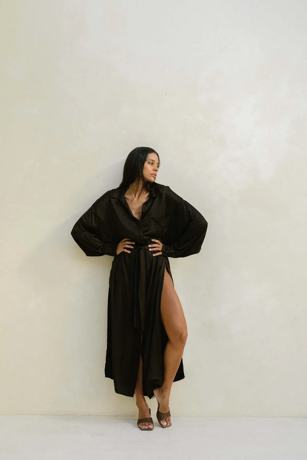 Bahhgoose Chi Long Sleeve Dress - Cacao