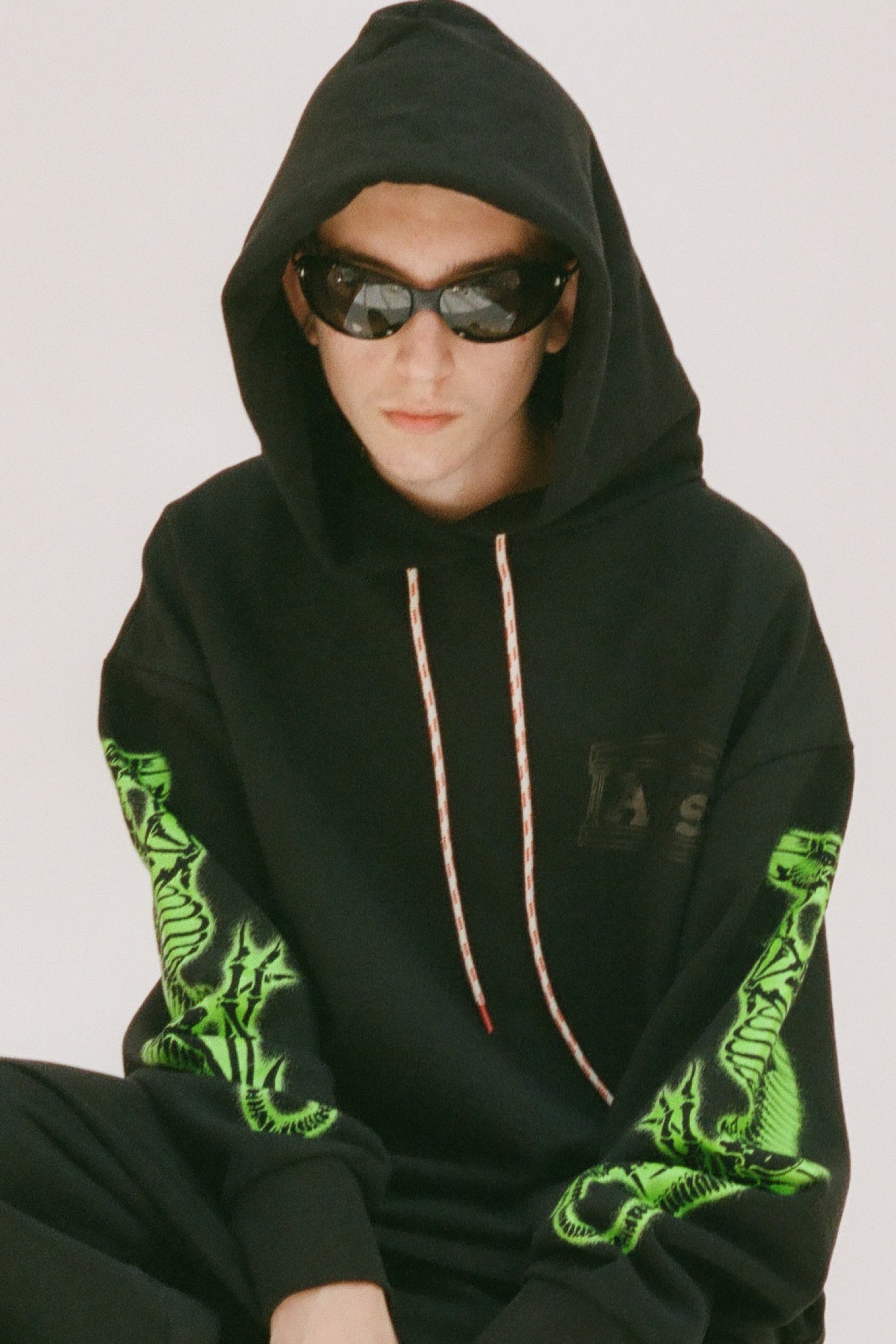 Dragon Skeletor Hoodie