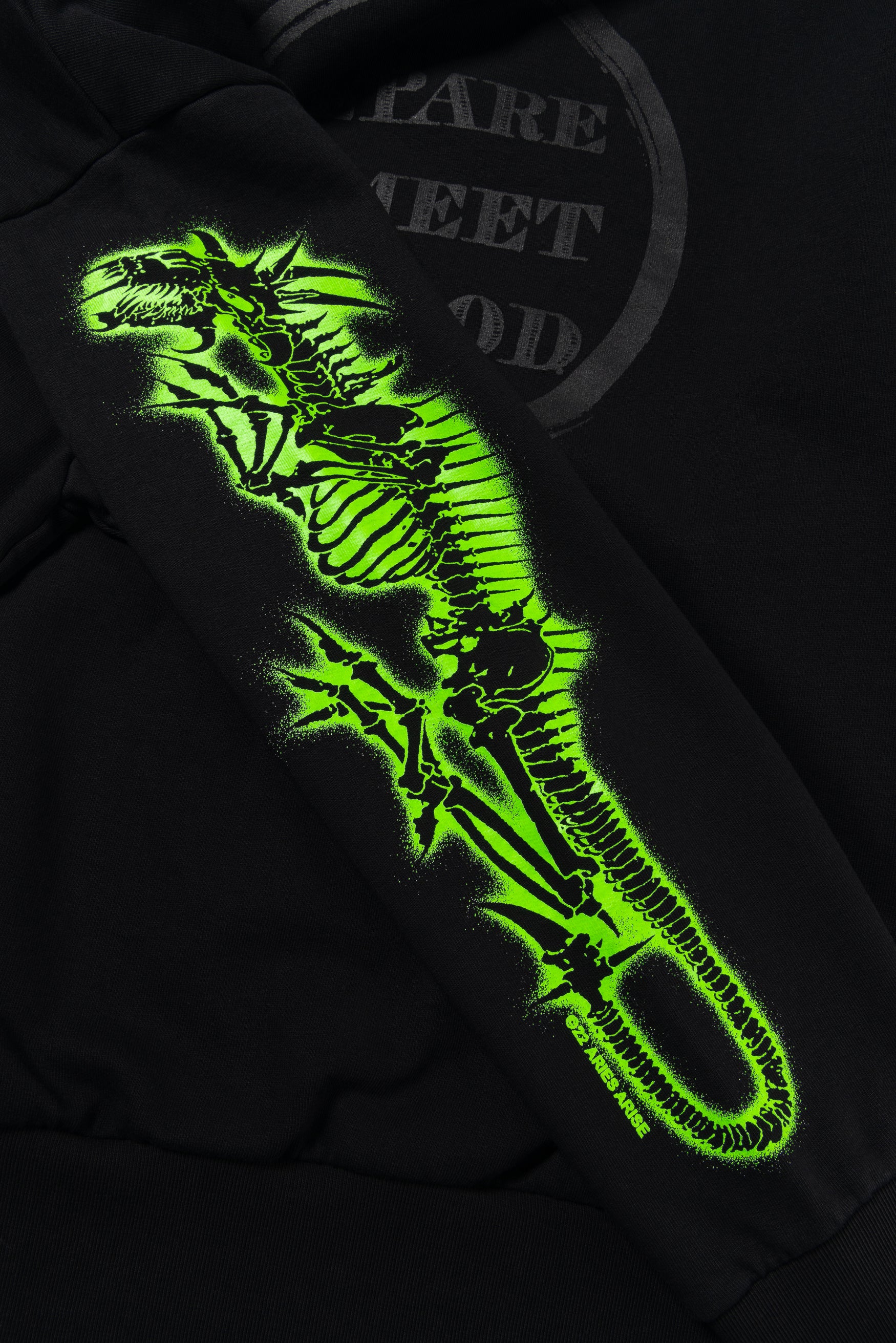 Dragon Skeletor Hoodie