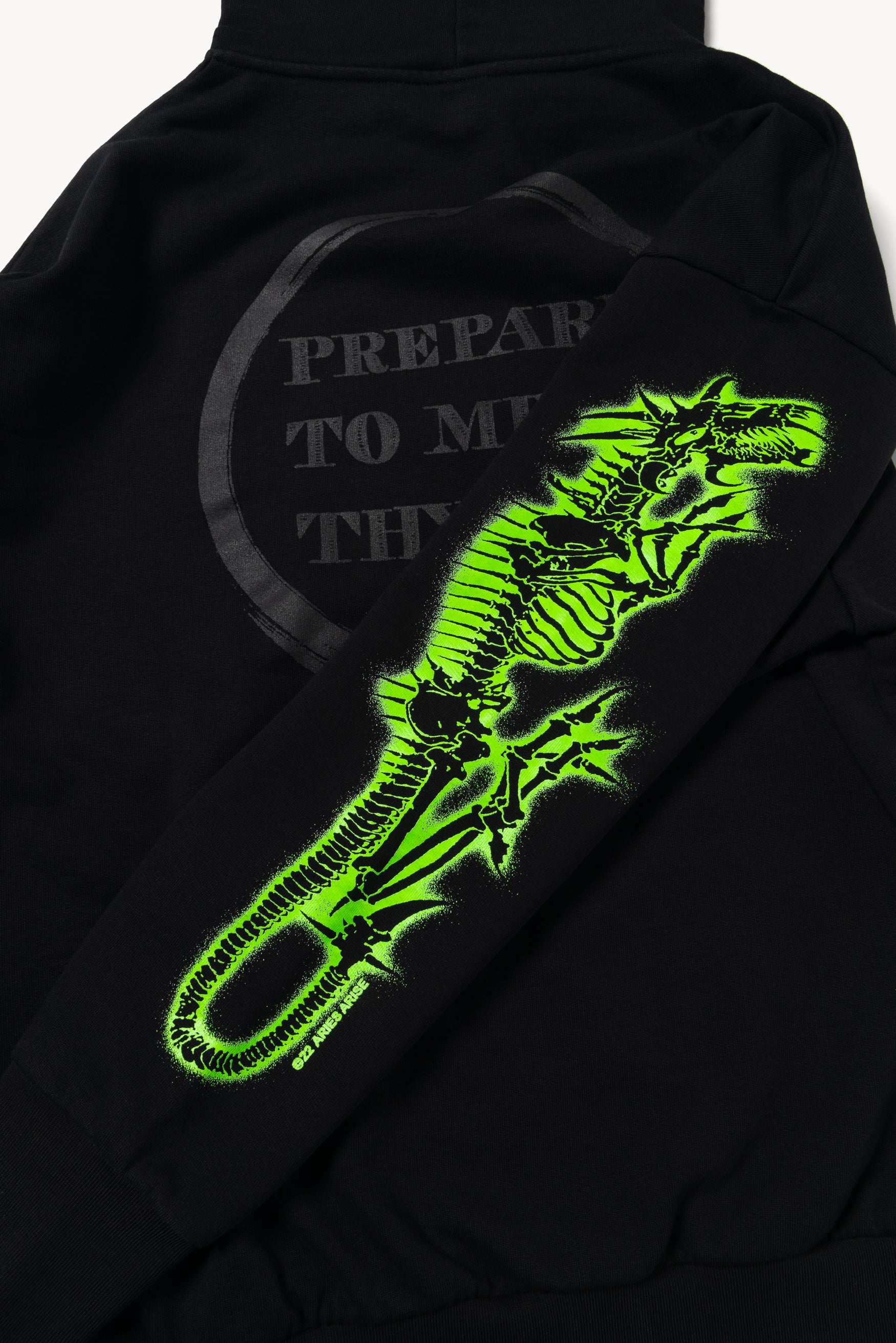 Dragon Skeletor Hoodie