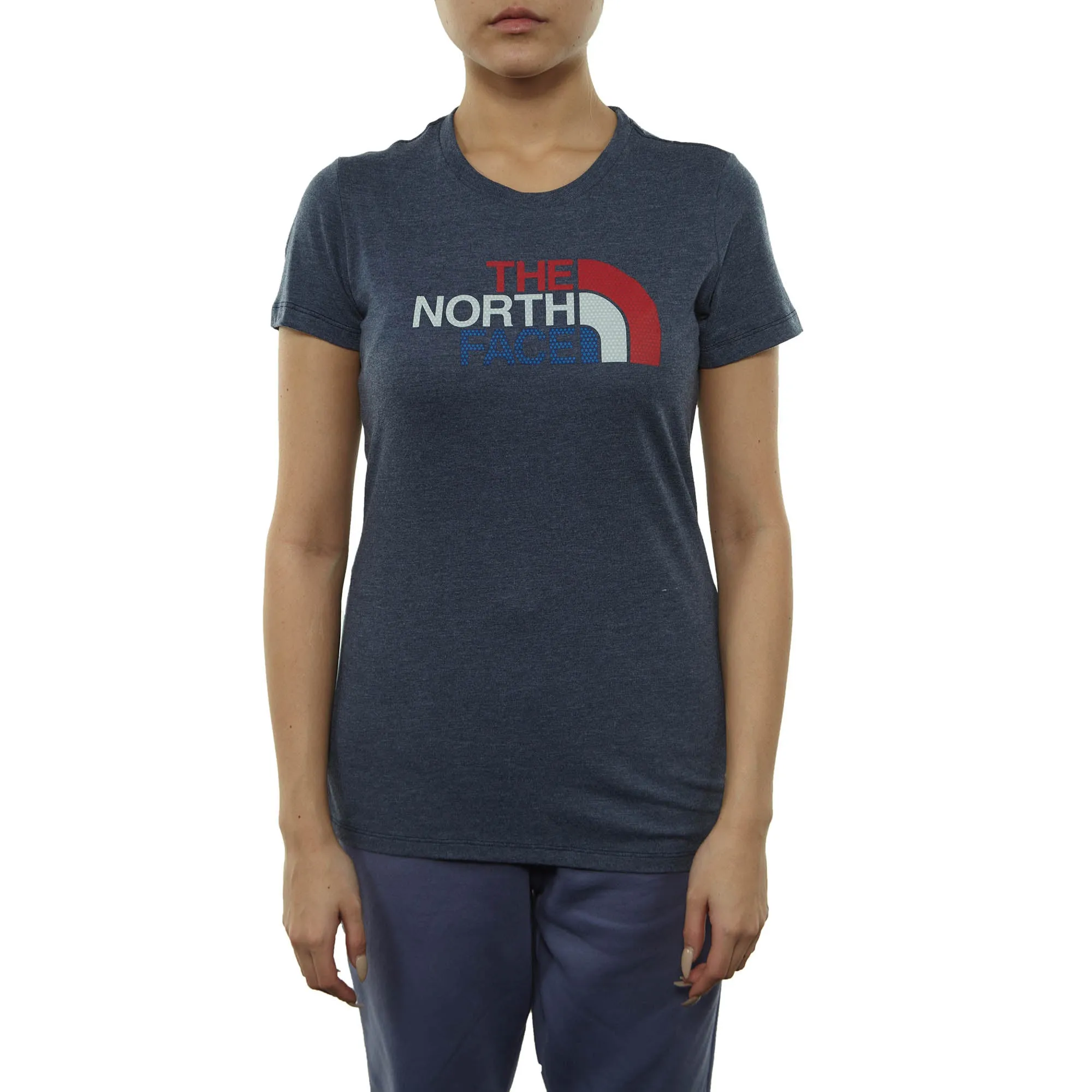 North Face Ic Dome  Fill Tri-blend  Tee Womens Style : A3ibg